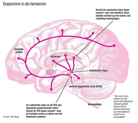 Een beetje gekte is goed voor de creativiteit - New Scientist | Anders en beter | Scoop.it