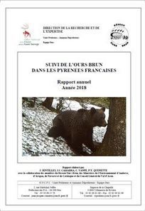 Oncfs - Quel bilan d&eacute;mographique 2018 des ours en France | Biodiversit&eacute; | Scoop.it