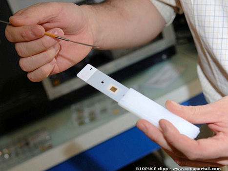 Biopuce et d&eacute;pistage de maladies avec un test sanguin | Microbiologie | Scoop.it