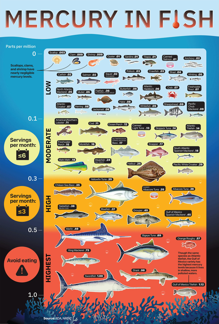 Mercury in Fish | The Health Report | Scoop.it