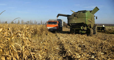 Agriculture. Les importations de volailles, maïs et avoine d'Ukraine plafonnées en Europe | Prospectives et nouveaux enjeux dans l'entreprise | Scoop.it
