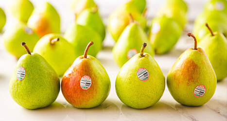 Merging tradition with innovation, CMI Orchards produces premium fruit while advancing regenerative, responsible farming  | Industry 411 - Waste Management | Scoop.it