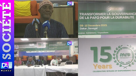 Assembl&eacute;e g&eacute;n&eacute;rale de la PAFO : Nadjirou Sall salue une organisation renforc&eacute;e et une Afrique agricole plus unie | Questions de d&eacute;veloppement ... | Scoop.it