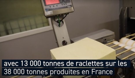 Fromage à raclette : ces sites bretons assurent 30% de la production française | Lait de Normandie... et d'ailleurs | Scoop.it