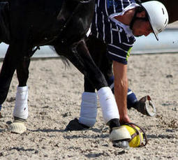 Cheval, équitation et sports équestres : France Horse Ball infos | Cheval et sport | Scoop.it