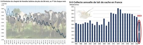 Les marchés des produits laitiers, carnés et avicoles : Bilan 2023, perspectives 2024 | Lait de Normandie... et d'ailleurs | Scoop.it