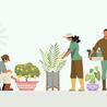 HORTICULTURE