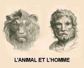 Les animaux et nous | Insect Archive | Scoop.it