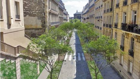 La Mairie de Paris veut transformer des places de stationnement en minijardins | Nouveaux paradigmes | Scoop.it