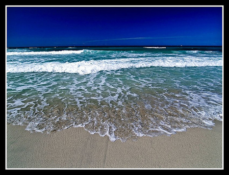 Saleccia, Corsica | Life is a beach | Scoop.it