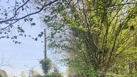 &laquo;&nbsp;Une destination randonn&eacute;e et nature incontournable&nbsp;&raquo;&nbsp;: la Mayenne mise sur le tourisme vert pour attirer | Strat&eacute;gie de territoires et offices de tourisme | Scoop.it