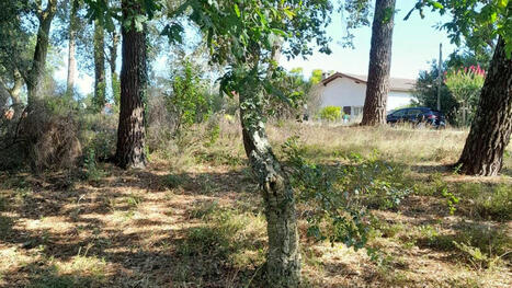 Les sols : une clé pour un aménagement du territoire résilient - Retour sur la conférence technique territoriale Sud Ouest | Paysage - Environnement | Scoop.it