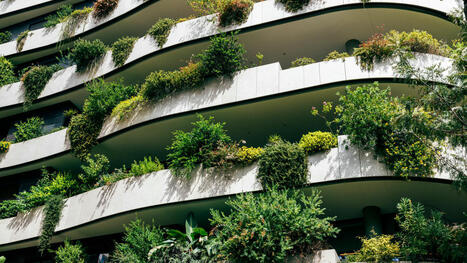 « Je ne conçois pas de travailler dans une entreprise où on met du béton partout » : les étudiants en école d’architecture font bouger les lignes - Le Parisien | architecture, urbanisme, environnement, paysage, énergie, territoires... : le fil d'actu de la FNCAUE | Scoop.it