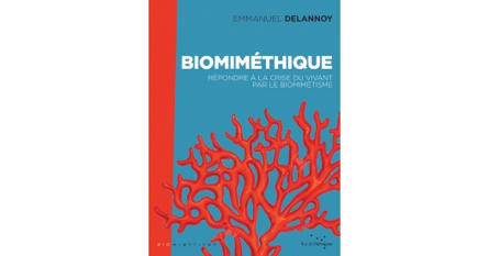 Biomiméthique. Et si les réponses à la crise du vivant venaient du vivant lui-même ? Emmanuel Delannoy | Biodiversité | Scoop.it