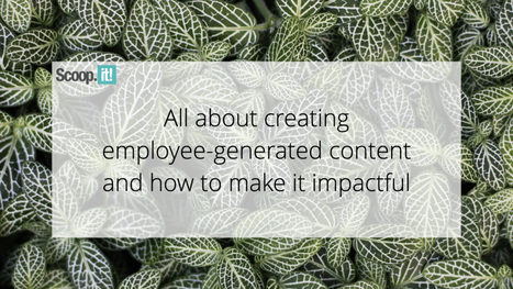 All About Creating Employee-Generated Content and How to Make It Impactful | Education 2.0 & 3.0 | Scoop.it