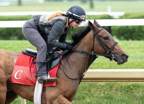Precautionary Quarantine Issued On Barn 28 At Saratoga, CCA Oaks Entrant La Cara And Pair Of Casse Runners At Monmouth Scratched | Racing Regulatory Issues | Scoop.it