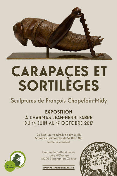Prolongation de l'Exposition Carapaces et Sortilèges de François Chapelain-Midy jusqu'au 31 janvier 2018 | Variétés entomologiques | Scoop.it