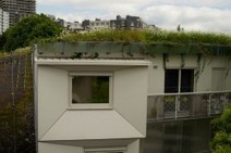 Aide-m&eacute;moire pour ancrer durablement une d&eacute;marche de projet de nature en ville - Biodiv'ille | Nature en ville | Scoop.it