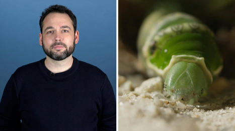 Vidéo : "Je suis réalisateur de documentaires sur les insectes" | EntomoScience | Scoop.it