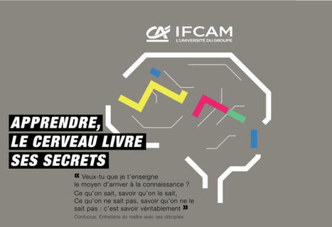 Pourquoi une expo sur le cerveau et l'apprentissage ? | Innovation et transformation p&eacute;dagogique | Scoop.it