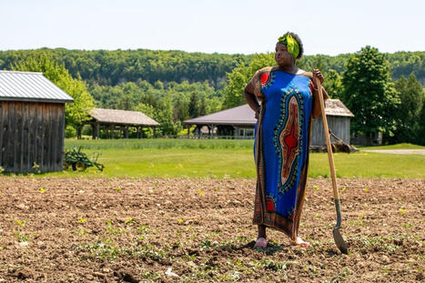 Why are there so few Black farm owners in Canada? | Black Stories and Inspiration | Scoop.it
