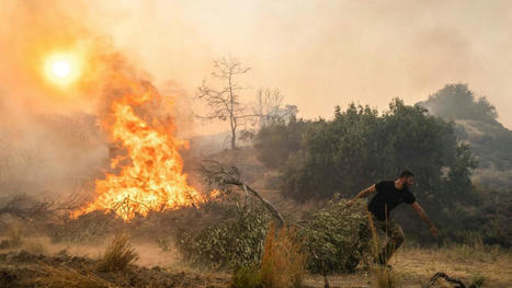 How damaging were GREEK wildfires? Experts explain how heatwave fanned the flames | CIHEAM Press Review | Scoop.it