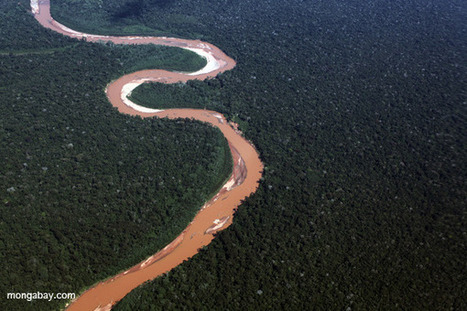 Geology has split the Amazon into two distinct forests | BIODIVERSITY IS LIFE  &ndash; | Scoop.it