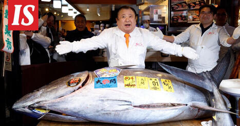 &rdquo;Tonnikalakuningas&rdquo; maksoi enn&auml;tystonnikalasta 2,7 miljoonaa euroa | 1Uutiset - Lukemisen t&auml;hden | Scoop.it