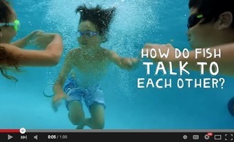 Google Offers A Free 4 Weeks Virtual Science Camp for Kids | iGeneration - Humane Use of Technology in an AI world (Pedagogy & Digital Innovation) | Scoop.it