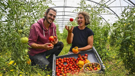 Florian et Clara cultivent le bon go&ucirc;t de l&rsquo;&eacute;t&eacute;&nbsp;: crues, cuites, leurs tomates se savourent &agrave; toutes les sauces - Ouest France [Abonn&eacute;s] | Agriculture et communication positive | Scoop.it