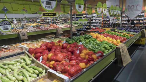"Il faut donner la priorité à la production française" : les producteurs de fruits et légumes demandent une meilleure exposition | Actus Retail | Scoop.it