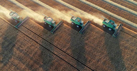 ALIMENTATION : Le blé, un levier d’influence russe en Afrique | ALIMENTATIONS | Scoop.it