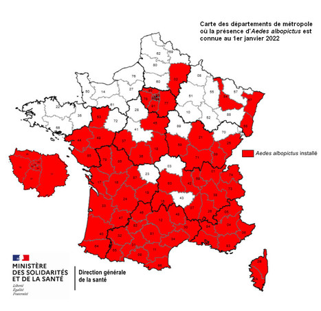 Chikungunya, dengue et zika - Données de la surveillance renforcée en France métropolitaine au 29 août 2022 | EntomoNews | Scoop.it