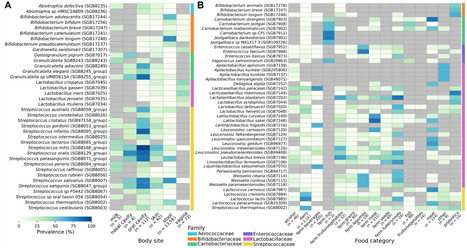 Transmission of lactic acid bacteria: a case study of the human vaginal microbiome | cin | RMH | Scoop.it