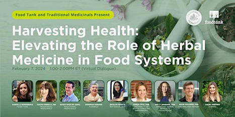 Harvesting Health: Elevating the Role of Herbal Medicine in FOOD SYSTEMS, Wed, Feb 7, 2024 | CIHEAM Press Review | Scoop.it