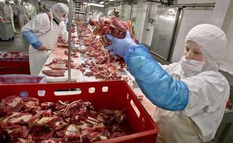 Pourquoi les abattoirs français ont du plomb dans l'aile | @ZeHub | Scoop.it
