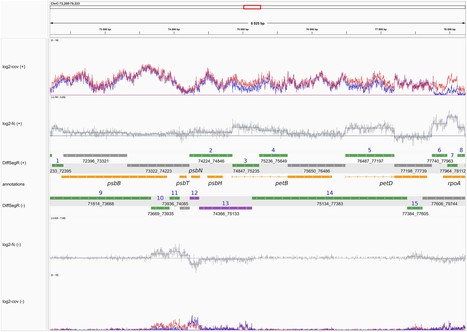 Differential RNA-seq analysis at a base pair-resolution (IPS2, SPS) | Plant Sciences | Scoop.it