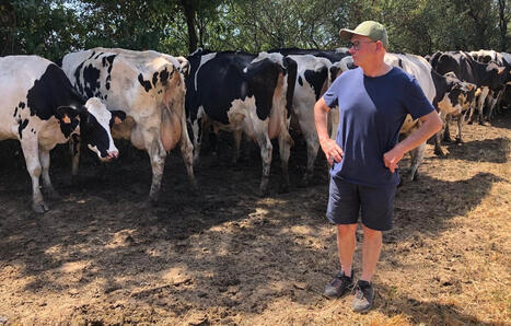 &laquo;&nbsp;Les hommes, les b&ecirc;tes et les cultures souffrent&nbsp;&raquo;&hellip; Le d&eacute;sarroi des agriculteurs face &agrave; la canicule et la s&eacute;cheresse | Plan&egrave;te DDurable | Scoop.it