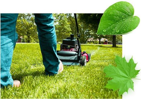 lawn care companies