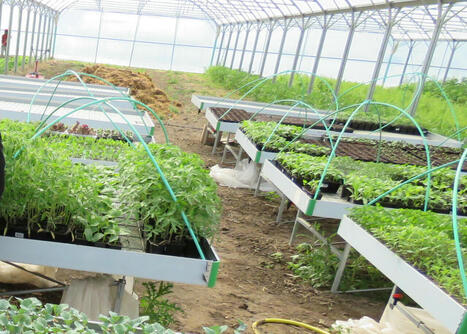 Seine-et-Marne : à cause de retards administratifs, ce projet de permaculture mis en sommeil | Paysage - Agriculture | Scoop.it