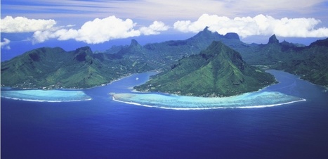 "L’Univers jungle" : une nouvelle manière de décrire le Cosmos | Beyond the cave wall | Scoop.it