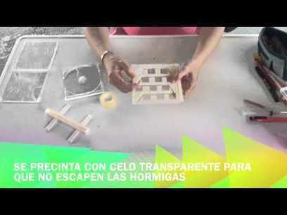 Hormigueros e impresión 3D | tecno4 | Scoop.it