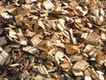 UK Parliamentary biomass group ignores timber interests | Timberland Investment | Scoop.it