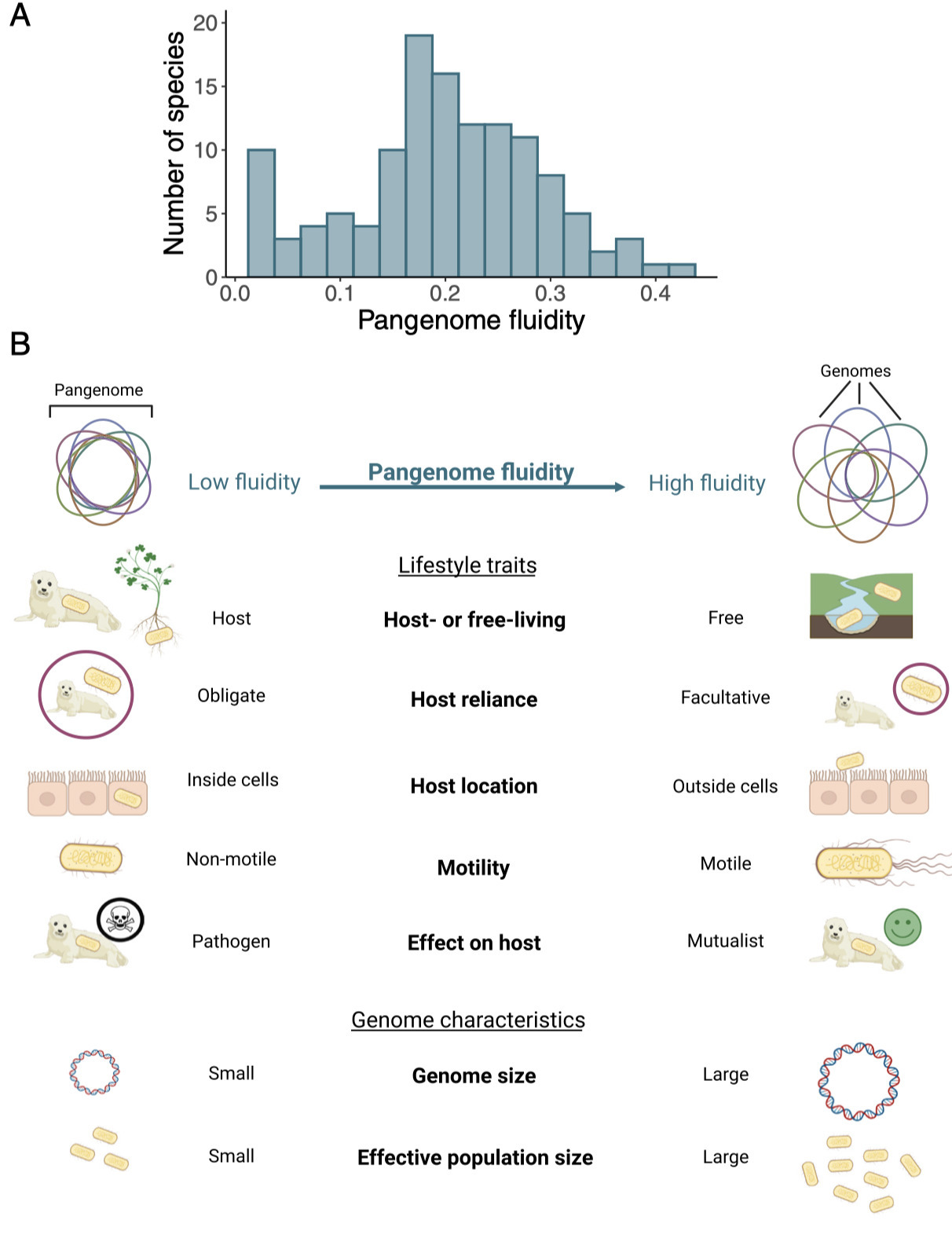 Bacterial Lifestyle Shapes Pangenomes | Pnas