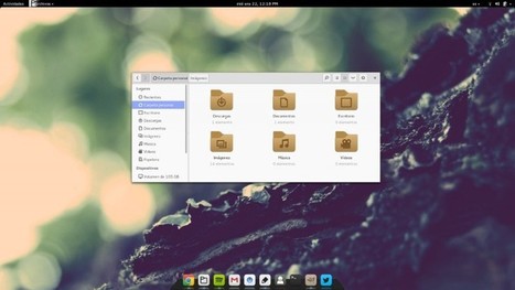 Moka Project: iconos y temas para Linux | Software libre | Scoop.it