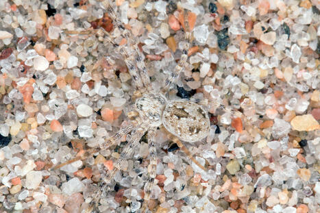 Yleis&ouml;kysymyksi&auml; &ndash; osa 2 | 1Uutiset - Lukemisen t&auml;hden | Scoop.it