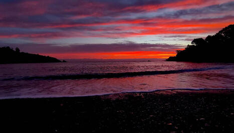 Dans quel &eacute;tat &eacute;cologique se trouve la mer M&eacute;diterran&eacute;e&nbsp;? | News from the world - nouvelles du monde | Scoop.it