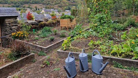 Arreau. Le jardin coop&eacute;ratif fait le plein de r&eacute;coltes | Vall&eacute;es d'Aure & Louron - Pyr&eacute;n&eacute;es | Scoop.it