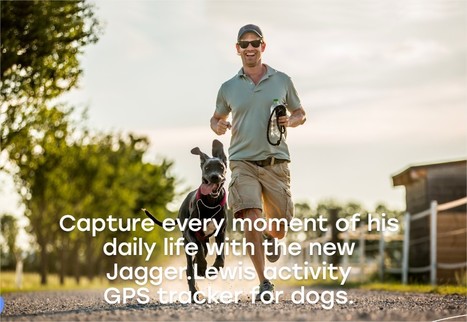 Collier d'activités GPS pour chiens - Jagger Lewis | Quantified Pet | Scoop.it