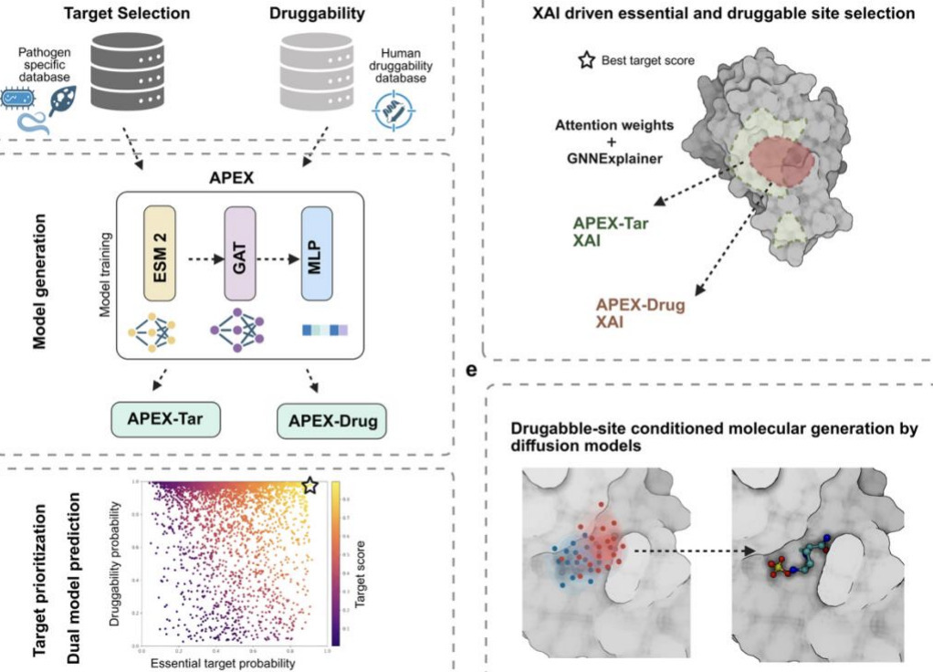 Explainable AI for end-to-end pathogen target d...